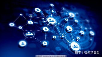 互聯網小白轉行自媒體 從零開始探索互聯網數據服務之路